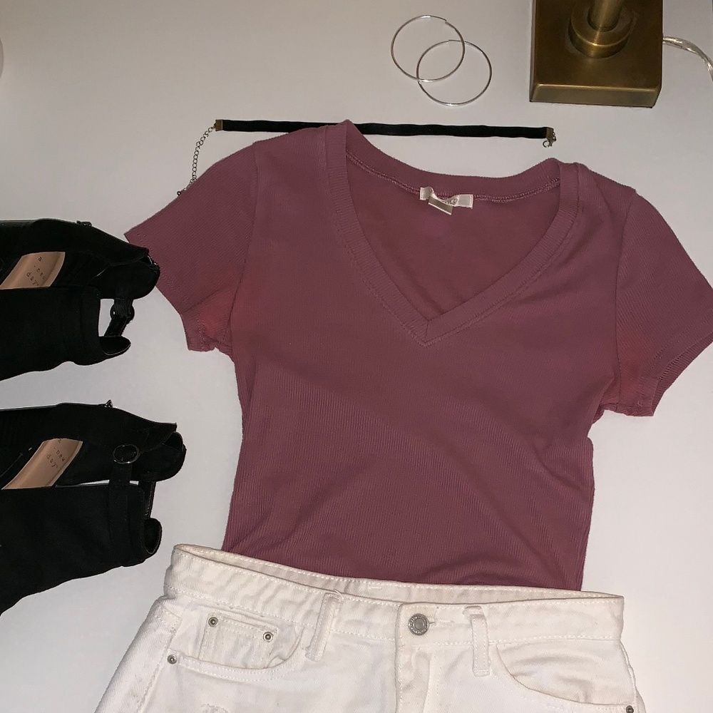Blush V-Neck  Crop Top
